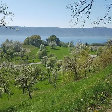 Weitblick سيبلينغين